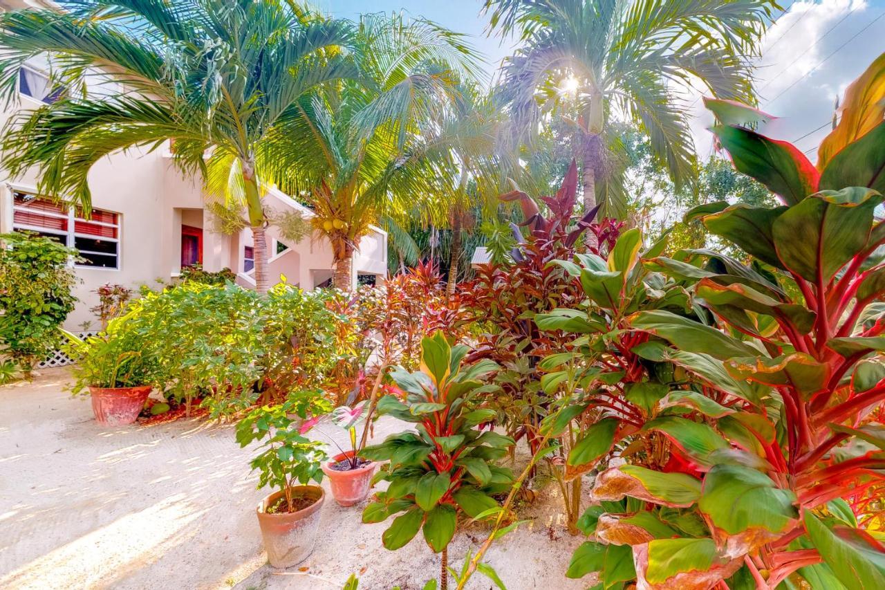 Casa Tranquilidad Διαμέρισμα San Pedro  Εξωτερικό φωτογραφία